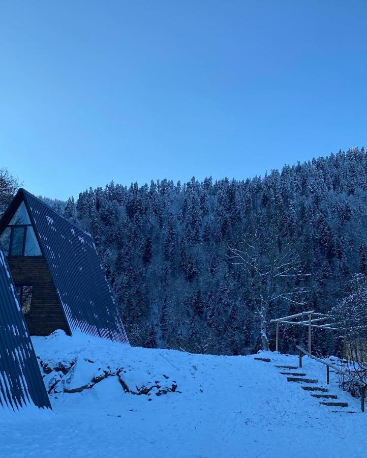 LandHaus Sadgeri Bordschomi Exterior foto